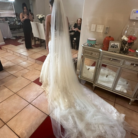 Pronovias Imelda Wedding Gown - Picture 4 of 16